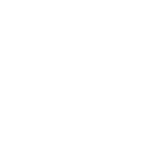 icono de instagram
